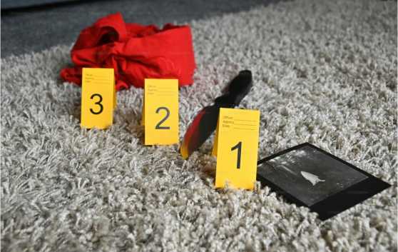 Evidence for Enforcement